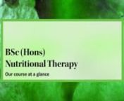 Website_ION presentation - At a glance - BSc_0822_V1nnUsed on website:nhttps://www.ion.ac.uk/undergraduate-nutritional-therapynnUpdated:nAug 2022