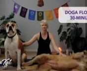 Join Kat, Willow &amp; Indi for a 30-minute nourishing vinyasa flow yoga class.nnSuggested Props:n•tA yoga mat &amp; blocknnPreparing for class: nn• Make a space with enough room around your yoga mat to spread out. n• This video does not contain a soundtrack. Put on your favourite music you like to move to.n• Put your phone on flight mode or &#39;off’ &amp; let people know not to disturb you.n• Remember to work within your own capabilities, stop if something hurts and manage any injuries
