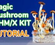 �Magic Mushrooms Grow Kit Tutorial/Instructions for Wholecelium&#39;s OHMs and Shrooma X Growkits. nnDisclaimer: The video information presented​ is intended for educational purposes only. n nFurther questions? Visit our website: https://www.wholecelium.com/ nn00:06-00:40nUnBoxing and Setup nSet up your ‘Shrooma’ OHM and/or X kit by removing the lid of the kit (keep lid for later). Use clean fork and make holes in the top layer. Fill the kit with water (~20 º C) to the edge of the kit. nU
