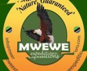 Mwewe promo video mbili from mwewe