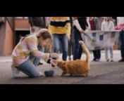 Our new work is here and it&#39;s simple and beautiful like it&#39;s meant to be!n&#39;Cat&#39; is one of the three films we shot in Serbia for KissFlow Inc which is out now and we can&#39;t keep our mouths shut since! Really proud of this project and everyone who made it possible. nP.S - try not crying when you see the cat in the film.nnClient: KissFlownAgency: Nineyards (Heetal Dattani, Shweta Arun Iyer)nDirector: Rahul BhartinCinematographer: Igor VukovicnProducer: RG &amp; RSnExecutive Producer: Saleem JavednA