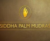 This online course provides streaming access to all 64 mudra videos. Choose a mudra, perform it every day for a week and you will see a miracle growing before your very eyes…nnPurchase the course:https://genekeys.com/product/siddha-palm-mudras/