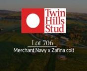 Twin Hills MM Lot 706 Merchant Navy x Zafina from zafina​
