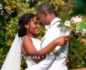 Tashana + Jamoi Wedding Highlight from tashana