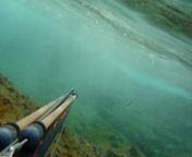 Nekajminutni video (amaterski posnetki) podvodnega ribolova na Hrvaški obali. Obvezna oprema je dovolilnica za podvodni ribolov, potapljaška boja in dobra volja ter prosti čas.nVideo prikazuje tehniko priobalnega ribolovannlpnPeter Valenčič