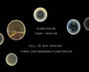 Enjoy streaming (€3) or downloading (€4) the FULL 15 MIN VERSION: nhttps://vimeo.com/ondemand/planktoniumnThanks for supporting my project!nnPlanktonium is a short film by Jan van IJken about the unseen world of living microscopic plankton. It is a voyage into a secret universe, inhabited by alien-like creatures. These stunningly beautiful, very diverse and numerous organisms are unknown to most of us because they are invisible to the naked eye. However, they are wandering beneath the surfac