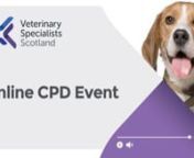 ‘Pain and Pyrexia’ live event recording: dealing with dogs presenting with pain, stiffness and lameness.nInternal Medicine fellow, Fiona Whitworth and Neurology fellow, Alexandra Ferreira discuss IMPA and SRMA.
