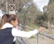 It's your turn music video - Wilcannia Central School (NSW) from naris