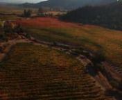 Algunas de las tomas aéreas realizadas para Wood Producciones el en video corporativo para la Viña Neyen localizada en el Valle Apalta.nnProducido por AltaFoto:nwww.altafoto.cl