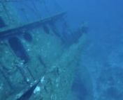 WE wreck - the stern with the propeller at aound 55m.i swam thru it... :) from aound