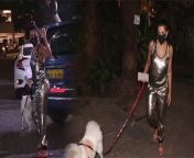 Bollywood ActressMalaika Arora Spotted with Dog outside her Residence in Bandra at Night.Watch Out&#60;br/&#62;&#60;br/&#62;#MalaikaArora#MalaikaAroraViralVideo