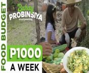 Simpleng Buhay: Paano Pagkasyahin Ang P1000 Weekly Food Budget &#124; Buhay Probinsiya &#124; Smart Parenting&#60;br/&#62;&#60;br/&#62;You don&#39;t need hectares of land to have a farm that can sustain your family&#39;s daily food needs! Miriam Marino, a mom and nutritionist-dietician from Bohol, shares how her simple backyard garden helps bring their daily food expenses to as low as Php 1,000 a week.&#60;br/&#62;&#60;br/&#62;Even though her food bills are cheaper, Miriam makes sure that her family&#39;s health is not compromised -- that they continue to enjoy healthy, well-balanced meals every single day.&#60;br/&#62;&#60;br/&#62;#SmartParenting #buhayprobinsya #SimplengBuhay #foodbudget &#60;br/&#62;&#60;br/&#62;Navigate our new website: www.smartparenting.com.ph &#60;br/&#62;Check out our Facebook Page: https://www.facebook.com/smartparenting.ph &#60;br/&#62;Join our Facebook Group: https://www.facebook.com/groups/SmartParentingVillage &#60;br/&#62;Follow us on Instagram: https://www.instagram.com/smartparenting &#60;br/&#62;And Twitter: https://twitter.com/_smartparenting &#60;br/&#62;And TikTok: https://www.tiktok.com/@smartparentingph &#60;br/&#62;Subscribe to our Youtube channel: https://www.youtube.com/c/SmartParentingPhilippines