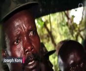 Angelina Jolie reportedly offered herself as bait to catch Joseph Kony, one of the world&#39;s most notorious warlords.