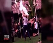 Look at this ‘Dirty Dancing’ disaster! This bridesmaid from California got ready for a ‘Dirty Dancing’ replay with a groomsman.