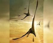 Paleontologists on the Isle of Skye in Scotland have unearthed the largest pterosaur known from the Jurassic period.