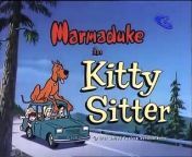 Heathcliff And Marmaduke - Kitty Sitter - A New Kit On The Block - Babysitting Shenanigans - Barking For Dollars ExtremlymTorrents from wet kitty