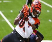 Bengals' Tee Higgins: Analyzing Future Value & Contract from laura higgins