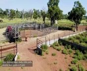 The 10,572 hectare South West Queensland property Delmar is set to be auctioned on April 12.