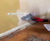 Wall repairing video&#60;br/&#62;Wall painting satisfaction video&#60;br/&#62;House repairing&#60;br/&#62;Satisfaction &#60;br/&#62;&#60;br/&#62;All credit goes to their respected owner&#60;br/&#62;&#60;br/&#62;Like &amp; Follow for more