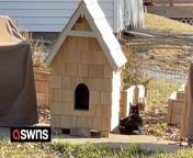 A couple built a fully-insulated luxury house for their neighbourhood stray cat and now he sleeps there every night.&#60;br/&#62;&#60;br/&#62;Chris, 35, and Danica Gadeken, 31, first noticed the moggie about three years ago when he was just a kitten.&#60;br/&#62;&#60;br/&#62;They lost sight of him for about a year before he reappeared last year, only this time much larger.&#60;br/&#62;&#60;br/&#62;As winter approached in Lincoln, Nebraska, USA, Chris and Danica became concerned for the cat, who they affectionately named Fat Billy.&#60;br/&#62;&#60;br/&#62;As Fat Billy was too skittish to be officially adopted and welcomed into their home, they decided to build him a luxury house in their yard.