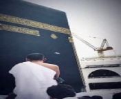 Mashaallah, what a lucky pigeon, may Allah invite us to his home this Ramadan.&#60;br/&#62;&#60;br/&#62;I feel like touching the Kaaba, I feel like crying after touching it...