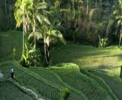 Indonesia: Stunning Natural Wonders from sutile indonesia