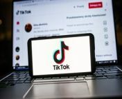 TikTok has launched a campaign to stop the US government banning the app.