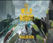 #TheWildRobotMovie&#60;br/&#62;The Wild Robot - In Theaters September 20&#60;br/&#62;&#60;br/&#62;From DreamWorks Animation comes a new adaptation of a literary sensation, Peter Brown’s beloved, award-winning, #1 New York Times bestseller, The Wild Robot. &#60;br/&#62;&#60;br/&#62;The epic adventure follows the journey of a robot—ROZZUM unit 7134, “Roz” for short — that is shipwrecked on an uninhabited island and must learn to adapt to the harsh surroundings, gradually building relationships with the animals on the island and becoming the adoptive parent of an orphaned gosling. &#60;br/&#62;&#60;br/&#62;The Wild Robot stars Academy Award® winner Lupita Nyong’o (Us, The Black Panther franchise) as robot Roz; Emmy and Golden Globe nominee Pedro Pascal (The Last of Us, The Mandalorian) as fox Fink; Emmy winner Catherine O’Hara (Schitt’s Creek, Best in Show) as opossum Pinktail; Oscar® nominee Bill Nighy (Living, Love Actually) as goose Longneck; Kit Connor (Heartstopper, Rocketman) as gosling Brightbill and Oscar® nominee Stephanie Hsu (Everything Everywhere All at Once, this summer’s The Fall Guy) as Vontra, a robot that will intersect with Roz’s life on the island. &#60;br/&#62;&#60;br/&#62;The film also features the voice talents of Emmy winning pop-culture icon Mark Hamill (Star Wars franchise, The Boy and the Heron), Matt Berry (What We Do in the Shadows, The SpongeBob Movie franchise) and Golden Globe winner and Emmy nominee Ving Rhames (Mission: Impossible films, Pulp Fiction). &#60;br/&#62;&#60;br/&#62;A powerful story about the discovery of self, a thrilling examination of the bridge between technology and nature and a moving exploration of what it means to be alive and connected to all living things, The Wild Robot is written and directed by three-time Oscar® nominee Chris Sanders—the writer-director of DreamWorks Animation’s How to Train Your Dragon, The Croods, and Disney’s Lilo &amp; Stitch—and is produced by Jeff Hermann (DreamWorks Animation’s The Boss Baby 2: Family Business; co-producer, Kung Fu Panda franchise). &#60;br/&#62;&#60;br/&#62;Peter Brown’s The Wild Robot, an illustrated middle-grade novel first published in 2016, became a phenomenon, rocketing to #1 on the New York Times bestseller list. The book has since inspired a trilogy that now includes The Wild Robot Escapes and The Wild Robot Protects. Brown’s work on the Wild Robot series and his other bestselling books have earned him a Caldecott Honor, a Horn Book Award, two E.B. White Awards, two E.B. White Honors, a Children’s Choice Award for Illustrator of the Year, two Irma Black Honors, a Golden Kite Award and a New York Times Best Illustrated Book Award.