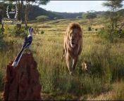 His uncle&#39;s lion kills his father, so he returns to take revenge on his uncle- Synopsis of the movie The Lion King (Simba) Lion King