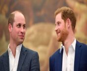 In a tribute to their mother, Prince William and Prince Harry will (kind of) reunite for the forthcoming Diana Legacy Award ceremony, one in-person, the other by video call. Buzz60’s Chloe Hurst has the story!