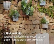 Garden tips and ideas.