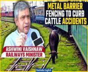 Railways Minister Ashwini Vaishnaw unveils a groundbreaking metal barrier fencing initiative aimed at curbing cattle runover incidents on the Mumbai to Ahmedabad route. This innovative design promises to enhance safety and efficiency, allowing trains to reach speeds of up to 160 km/hour. Stay tuned to learn more about this transformative project. &#60;br/&#62; &#60;br/&#62;#RailwaysMinister #AshwiniVaishnaw #CattleSafety #CattleRunover #Mumbai #Ahmedabad #MumbaitoAhmedabad #Oneindia&#60;br/&#62;~PR.274~PR.282~GR.125~