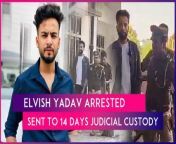 YouTuber Elvish Yadav was arrested by the Noida police on March 17. The controversial YouTuber has been arrested in connection with an investigation into the suspected use of snake venom as a recreational drug at a party. The Bigg Boss OTT winner was produced in a special court in Surajpur on March 17. The 26-year-old social media influencer was sent to 14-day judicial custody by the court. Elvish Yadav was among six people named in an FIR lodged at Noida’s Sector 49 police station on November 3, 2023. The five other accused were arrested in November but are currently out on bail, reported PTI. Watch the video to know more.&#60;br/&#62;