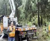 Jefferson County Public Works kills Rhododendron from girl baraless in public