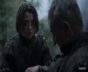 The Transformation of Arya Stark from how to transformation in to a werewolf