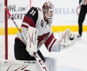Canucks vs Coyotes: Predictions on Vancouver's potential win? from hart sex ran