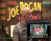 Episode 2132 Andrew Schulz- The Joe Rogan Experience Video - Episode latest update&#60;br/&#62;