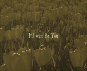 ELLIE HOLCOMB - WAIT FOR YOU - PSALM 130 (LYRIC VIDEO) (Wait For You - Psalm 130)&#60;br/&#62;&#60;br/&#62; Composer Lyricist: Ben Bannister&#60;br/&#62; Film Director: Lauren Brems&#60;br/&#62; Producer: Brown Bannister, Jac Thompson&#60;br/&#62;&#60;br/&#62;© 2024 Full Heart Music, LLC., under exclusive license to Capitol CMG, Inc.&#60;br/&#62;