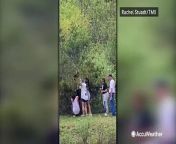 Shocking video shows a group of people pull a bear cub out of a tree for a photo opportunity. The cub was dropped and ran away as the group attempted to pull another bear cub out of the tree.