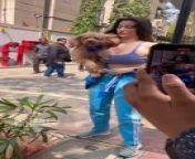 Georgia Andriani was seen outside a gym in Bandra with her puppy...#georgiaandriani #instantbollywood #pb from beautiful indian girl 3more suckingfucking clip