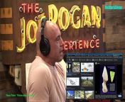 The Joe Rogan Experience Video - Episode latest update&#60;br/&#62;Graham Hancock, formerly a foreign correspondent for &#92;