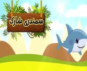 Animal Learning for Kids in Urdu &#124; animals ke naam in Urdu Kids Song&#60;br/&#62;animals for kids,learn animals for children,learn animals,animal learning videos for kids,learning animals for toddlers,animal names in urdu,animals,songs for children,animals for kids to learn,sing-along songs,learn animals for toddlers,sea animals for children,animal sounds for kids,animals names for children in english,kid songs,wild animals meaning in urdu,urdu poem for kids,children songs,animals for children,animals for kids learning