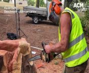 Beechworth chainsaw artist Kevin Duffy from kevin whole