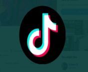 TikTok says disallowing TikTok in the US would impact Americans&#39; right to free speech.