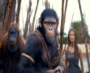 It&#39;s time to go inside the world of the science fiction action movie Kingdom of the Planet of the Apes, directed by Wes Ball.&#60;br/&#62;&#60;br/&#62;Kingdom of the Planet of the Apes Cast:&#60;br/&#62;&#60;br/&#62;Owen Teague, Freya Allan, Peter Macon, Eka Darville, Kevin Durand, Kevin Durand and William H. Macy&#60;br/&#62;&#60;br/&#62;Kingdom of the Planet of the Apes will hit theaters May 10, 2024!