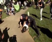 ‘I barely did anything’_ Video shows Emory professor thrown to the ground, arrested during protes... from indian xxx repexx desk school