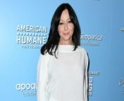 &#39;Beverly Hills, 90210&#39; star Shannen Doherty has revealed what she&#39;s looking for in a boyfriend.