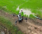 As a major agricultural country in Thailand, keep high yields of agricultural products is crucial to farmers&#39; income. &#60;br/&#62;New agricultural tools - smart agricultural drones, free up labor and complete large farmland operations in the shortest time with the least manpower. Z50P can help farmers spray pesticides on 8-10 hec/h.&#60;br/&#62;&#60;br/&#62;In order to better serve local users, EFT is looking for agents.&#60;br/&#62;We sincerely invite like-minded agricultural technology related companies to work together to help global agricultural development.&#60;br/&#62;&#60;br/&#62;Welcome to contact us : https://effort-tech.com/en/z