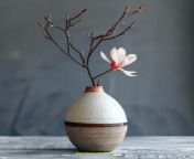 Prompt Midjourney : A ceramic vase with brown and white stripes, the bottom of which is rounded and tall, adorned with two branches holding one flower in pink color. The background features gray walls and light grey floors, creating an overall minimalist style. This photo was taken using a Canon EOS R5 camera and standard lens, providing a frontal view. It has high resolution and clear details, in the style of minimalism. --s 250