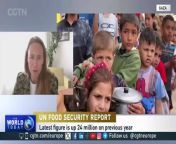 CGTN Europe spoke to Fleur Wouterse, Deputy Director Office of Emergencies and Resilience, The Food and Agriculture Organization of the United Nations